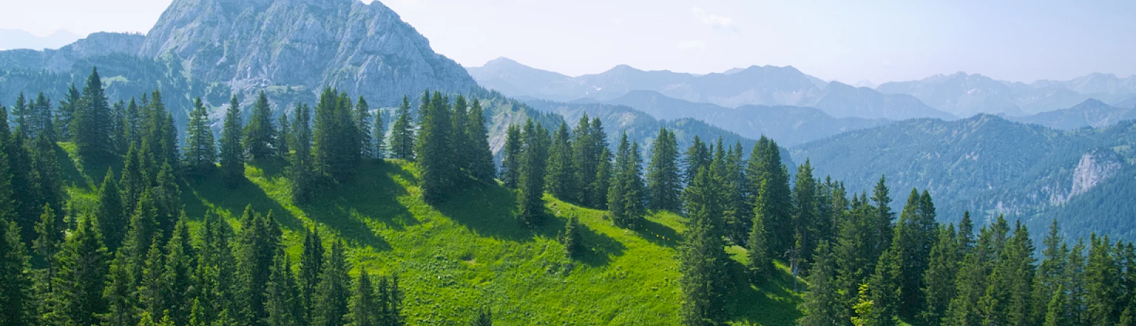 Autóbérlés Németországban