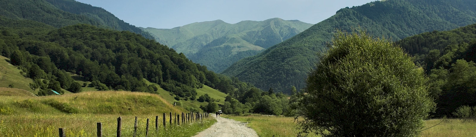 Autóbérlés Romániában